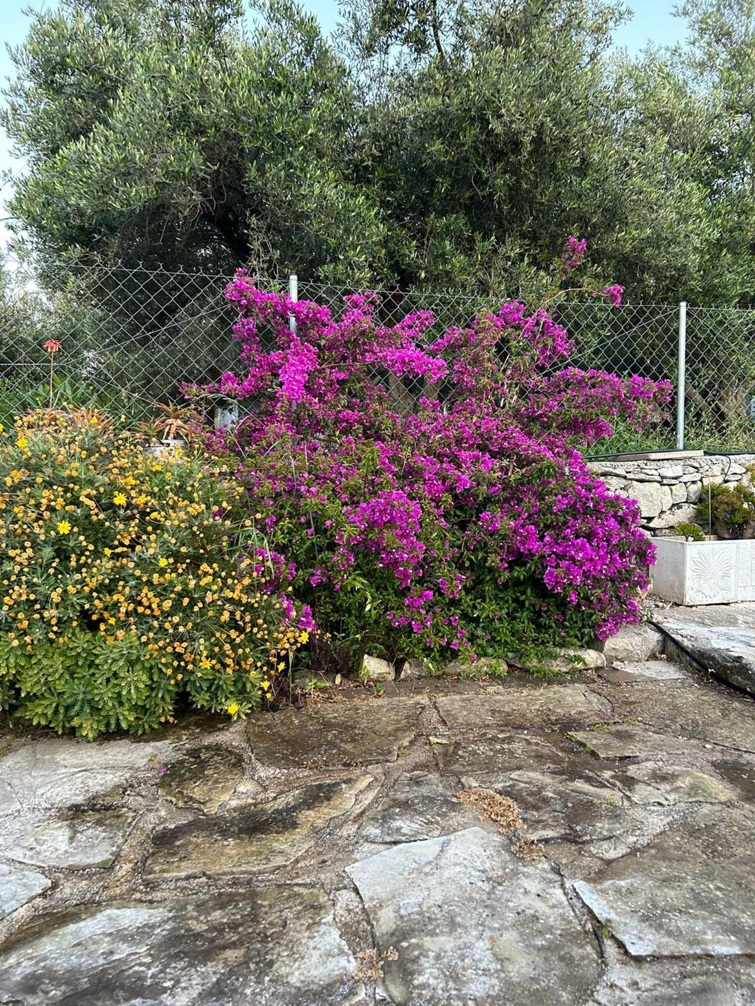 Old Stone Villa In Apokoronas Villa Nostalgia Kreta Fílippos Exterior photo
